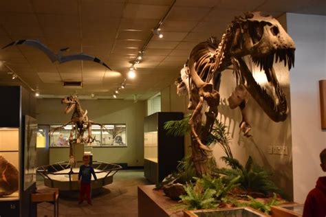 BYU Museum of Paleontology - Utah's Adventure Family