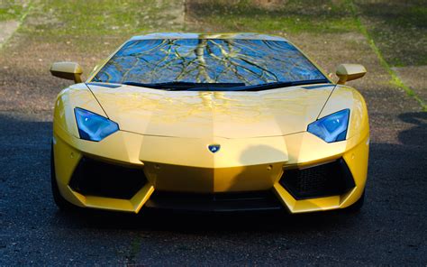 Lamborghini Aventador Portrait Wallpaper - Sports Cars Wallpapers HD