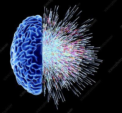 Brain explosion, artwork - Stock Image - C029/5231 - Science Photo Library