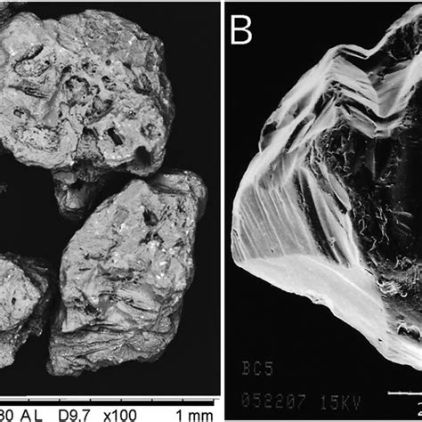 A 2-History Diagram displaying all Dwyka Group diamictite grains that... | Download Scientific ...