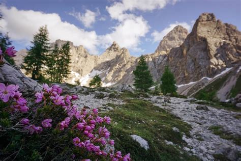 17 Best Day Hikes in Austria - Journey into the Austrian Alps