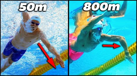 Learn the 3 Styles of PERFECT Freestyle Swimming. – WeightBlink