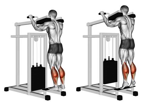 Foot Position on Calf Raises Explained - Ignore Limits