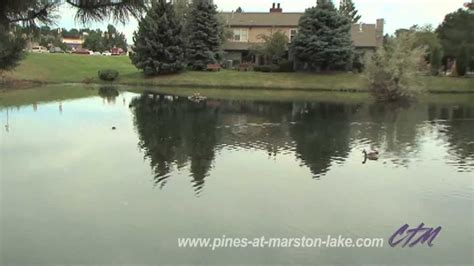 Pines at Marston Lake | Littleton CO Apartments | Tonti Properties | Lake, Property, Apartment