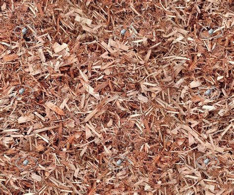 Cypress wood mulch texture seamless 21064