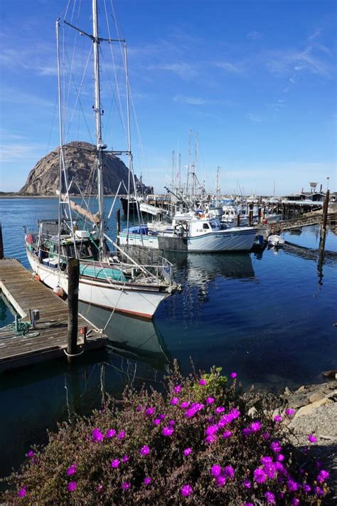 Things to Do in Morro Bay: Gem of California's Coast - Tanama Tales ...