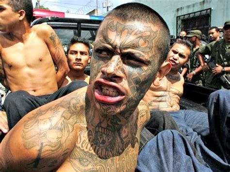 Democrats Open Amnesty Plan to Illegal Gang Members, Sex Offenders