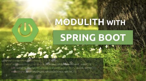 Guide to Modulith with Spring Boot - Piotr's TechBlog : r/java