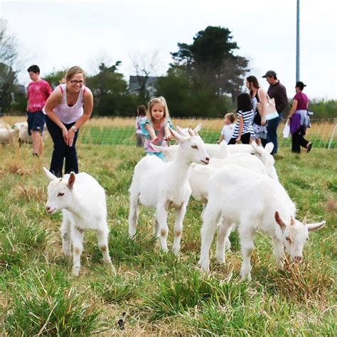 The Best Local Farm Tour in Every State