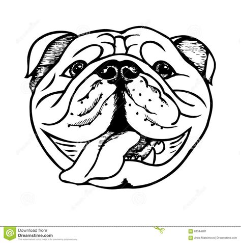 Bulldog clipart english bulldog, Bulldog english bulldog Transparent FREE for download on ...