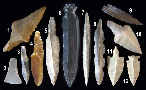 Twelve projectile points made on blades and flakes. | Stone age tools ...