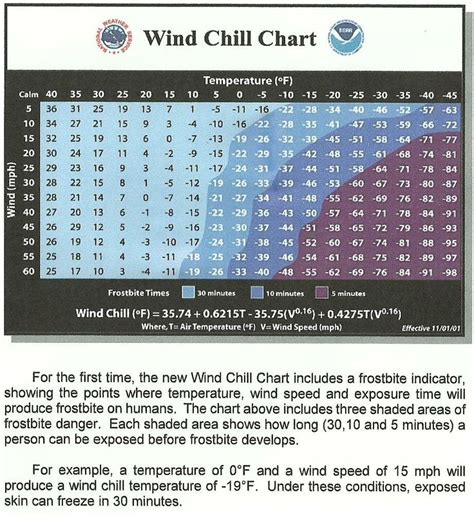 wind chill chart | Wind chill, Chart, Informative