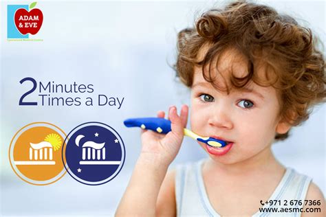 Brush your teeth twice a day for two minutes with fluoride toothpaste ...