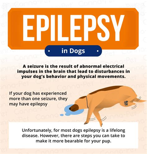 Epilepsy - Canine-Megaesophagus: All About ME