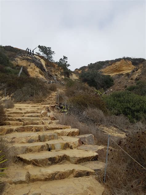 San Diego Hikes: Torrey Pines Parry Grove Trail - Fun Diego Family