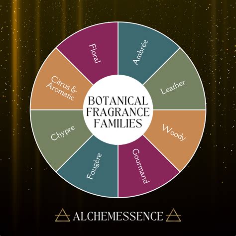 A Guide to Natural Perfume Fragrance Families — Alchemessence™