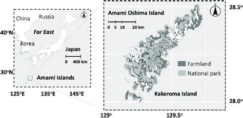 Map of the study site, Amami Oshima Island. * It is generally called ...