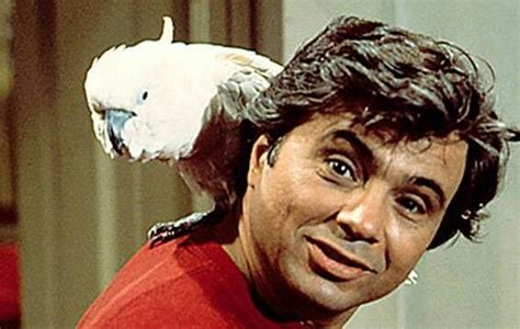 baretta tv show bird - Jed Stinson