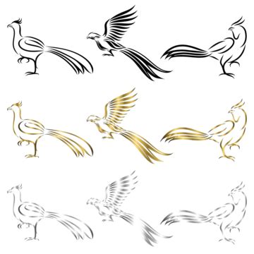 Golden Chicken And Pheasant Line Art Vector Graphic Cockfight Sketch Vector, Graphic, Cockfight ...