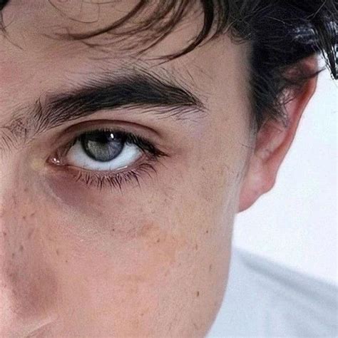 Timothée chalamet eyes | Timothee chalamet, Thimotée chalamet, Timmy t