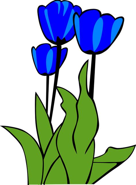 Tulips Flowers Plant · Free vector graphic on Pixabay
