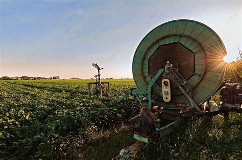 Soybean Field At Sunset With Irrigation System Photo Background And ...