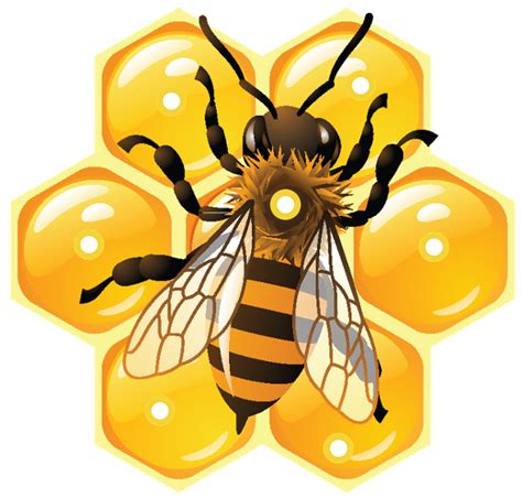 Honeycomb clipart beehive, Honeycomb beehive Transparent FREE for download on WebStockReview 2024