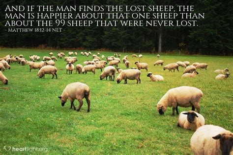 Lost Sheep Bible Verse