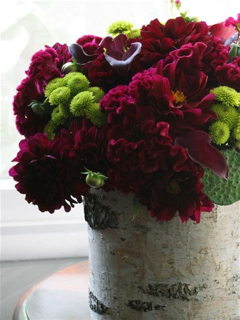 1000+ images about coxcomb on Pinterest | Persian, Floral arrangements and Fall flowers