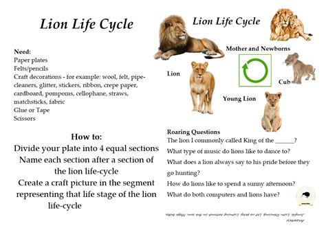 Lion Life Cycle Diagram