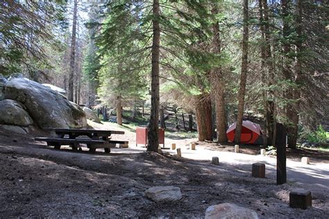 6 Best Campgrounds in Sequoia National Park (2024)