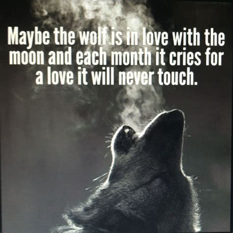 Wolf Quotes About Strength. QuotesGram