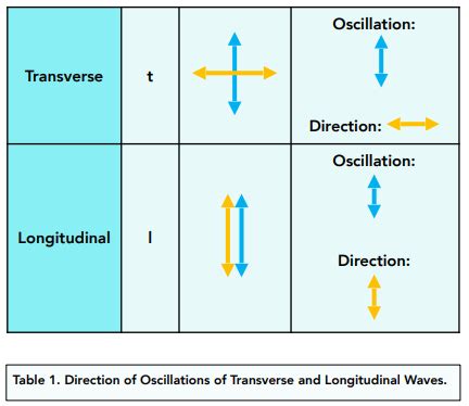 Waves - 6.1.1 Transverse and Longitudinal Waves (GCSE Physics AQA ...