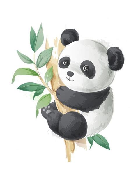 Cute panda | Panda illustration, Cute panda drawing, Cartoon panda