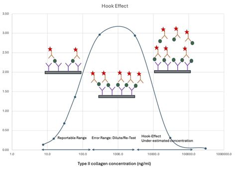 Understanding the Hook Effect in a One-Step Sandwich ELISA | Chondrex,