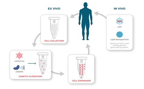 Cell and Gene Therapy Development | Mission Bio