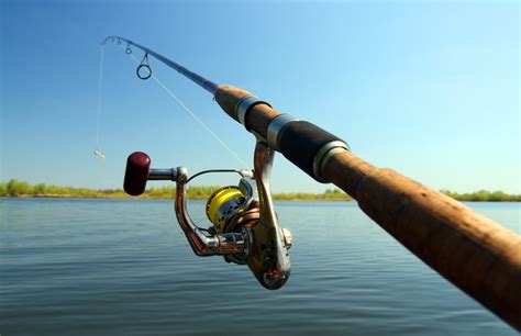 How to Choose a Fishing Rod: The Complete Guide (Updated 2022)