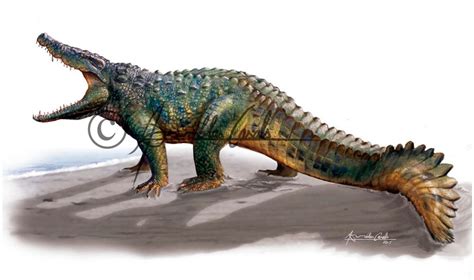 Allodaposuchus hulki - ICRA art