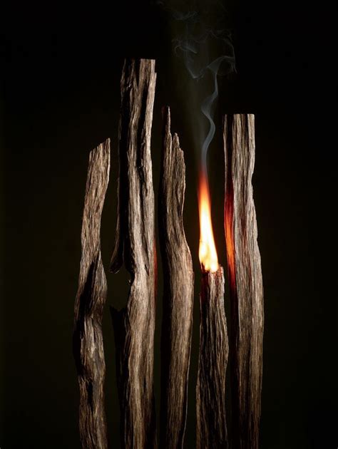 Burning oud wood | Fragrance photography, Fragrance editorial, Incense photography | Incense ...