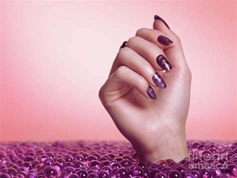 Woman Hand With Purple Nail Polish Photograph by Oleksiy Maksymenko