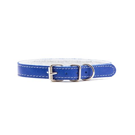 Blue Dog Collar – CATsNAP