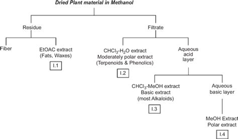 acid base extraction of alkaloids - Leah Gill