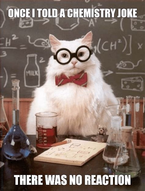 Chemistry Cat Meme - Generate Status