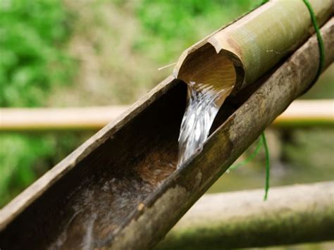 The Best 28 Bamboo Drip Irrigation - Gets Perangkat Sekolah