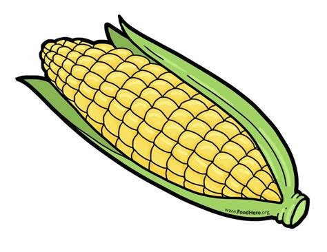 Pin by 전수현 on 한남대 | Corn drawing, Easy drawings, Drawings