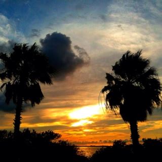 My Clearwater Sunset | Florida city, Clear water, Sunset