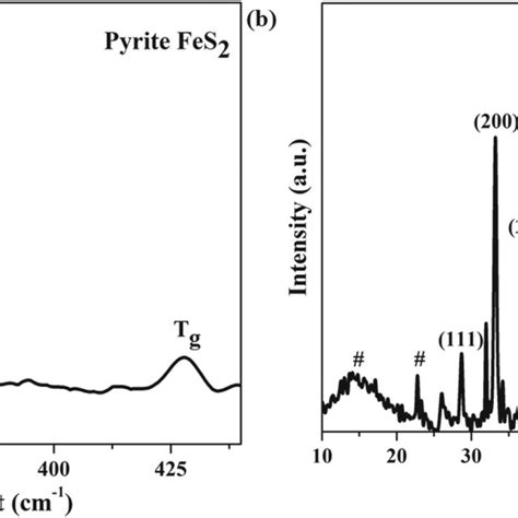 (a) Raman spectrum of pyrite FeS2 and (b) XRD pattern of the pyrite... | Download Scientific Diagram