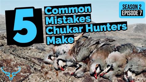 Chukar Hunting Tips - 5 Common Mistakes Chukar Hunters Make! - YouTube