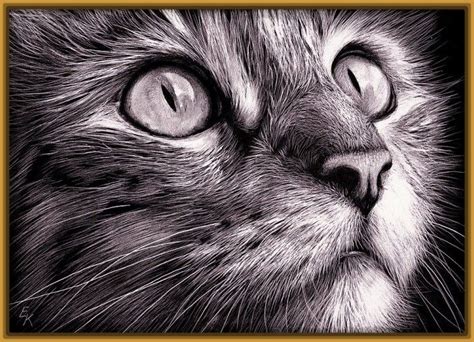 Gato A Lápiz: Imagenes De Dibujos De Gatos A Lapiz 1 | Scratchboard art, Cat art, Realistic art