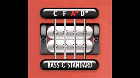 Perfect Guitar Tuner (Bass C Standard = C F A# D#) - YouTube